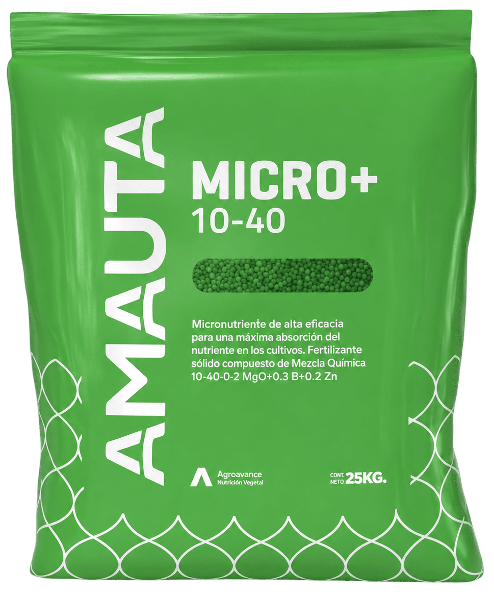 AMAUTA 10 40